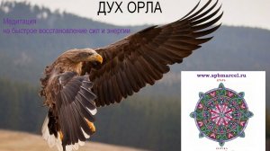 ДУХ ОРЛА. Обретение себя