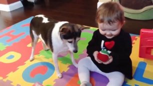 Best Funny Babies Playing With Dogs   Baby and Pet Videos Funny Baby