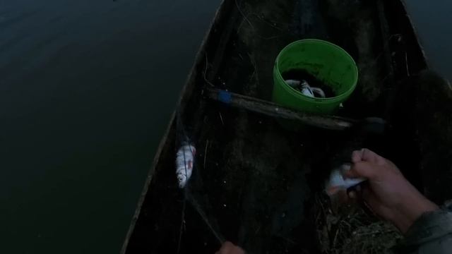 Курья. Сеть. Ельцы...Окуни..на копчение. смотреть онлайн