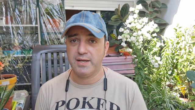 5 causas de HOJAS AMARILLAS en tus plantas. Sabiendo la causa, podremos ponerle REMEDIO antes. смотреть онлайн