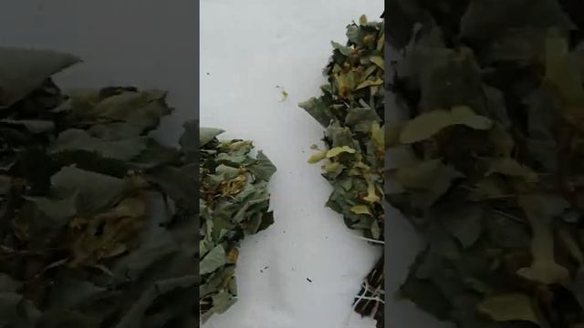 Обзор Липового веника смотреть онлайн