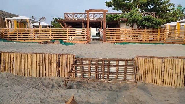 Most Beautiful Places Here In Morjim Beach Goa | Saz On The Beach Morjim | Goa Vlog