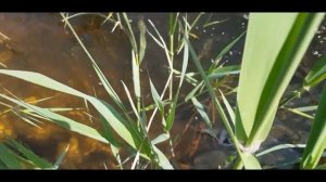 Нашли Хорошее Рыбное Места?Рыбалка в Дагестане?