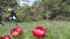 Туристические песни  Песни у костра  За спиной рюкзак тяжелый