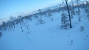 Как тропить зайца беляка. Основы.