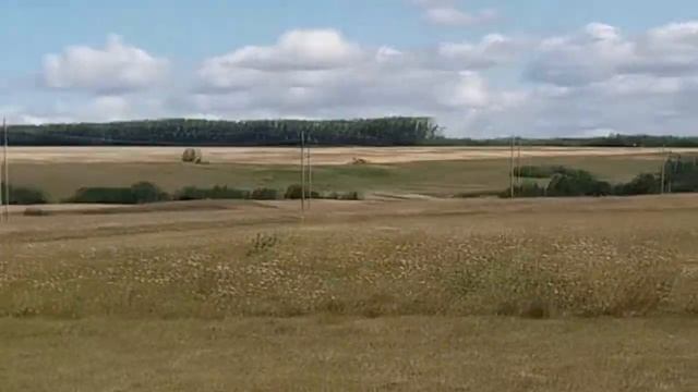 Собираем сено! смотреть онлайн