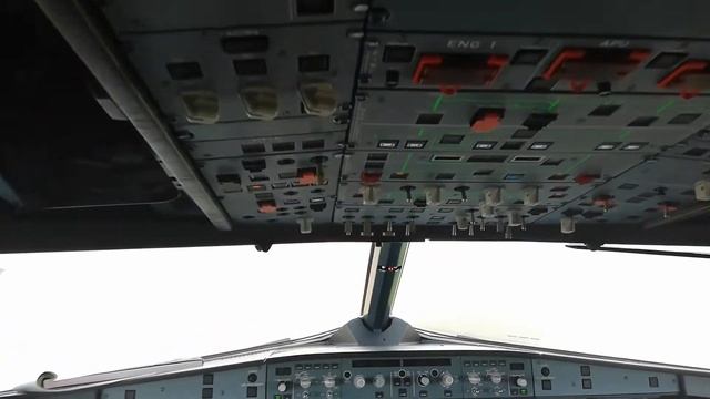 Световые табло EXIT на ВС А321NEO смотреть онлайн