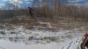 Охота на рябчика! Осень 2022.