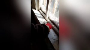 Подготовка окон к покраске