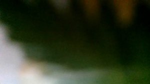 Осенняя(Листья пожелтели, птицы улетели осенью, осенью, осенью, осенью(наброски)