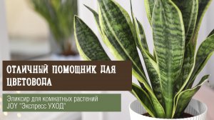 Эликсир для комнатных растений JOY "Экспресс УХОД"