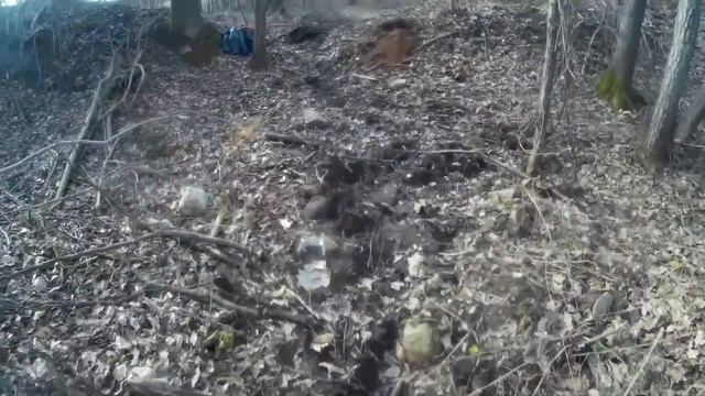 Металлокоп. Зубры прогнали с копа смотреть онлайн