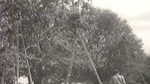 1956 №7 киножурнал сов.спорт