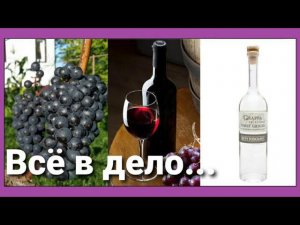 Самогон из виноградных отжимок (жмыха) Чача или Граппа - типа того)))