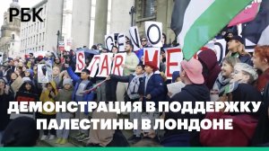 Сотни тысяч протестующих вышли на улицы Лондона в поддержку Палестины