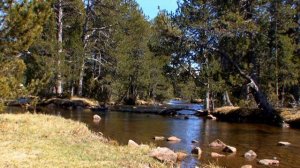 Расслабляющие звуки природы