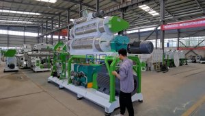 Оборудование для производства рыбных кормов производительностью 5 тонн в час