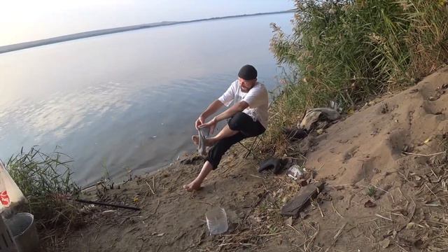 Теляпия (тилапия). Часть 2.