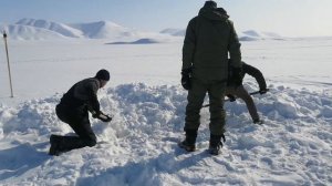 Крабалка в Эгвекиноте. чукотка 2023, Озерный