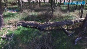 На благоустройство сельского кладбища нет ни сил, ни денег