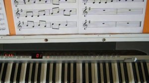 5-й урок фортепиано. Г. Галынин. Чижик (Чижик–пыжик).