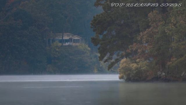 2 hours relaxing sound of rain and water drops please ears & 2 小時舒緩的雨聲和水滴聲請聆聽