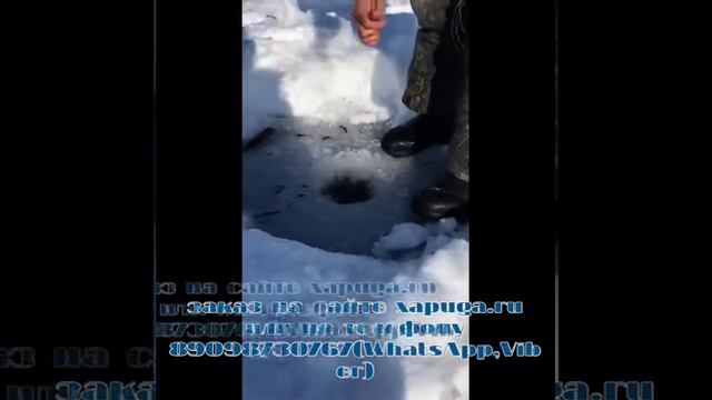 Изготовление пружинных хапуг(хлопушек).