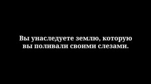 Пришло время для восстановления. Кэти Мот.