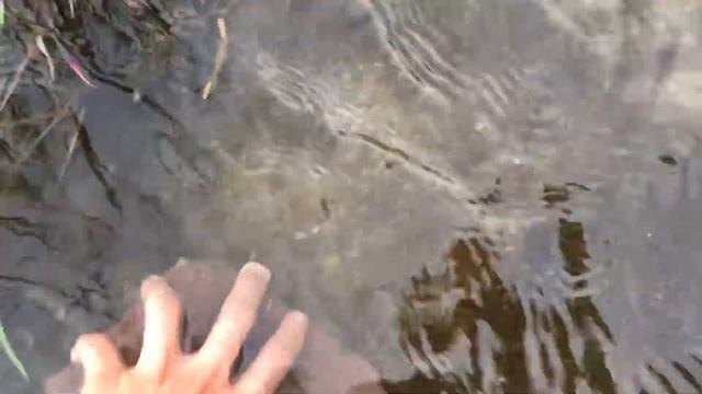 Пиявки для рыбалки смотреть онлайн