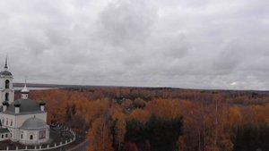 Вашка с дрона