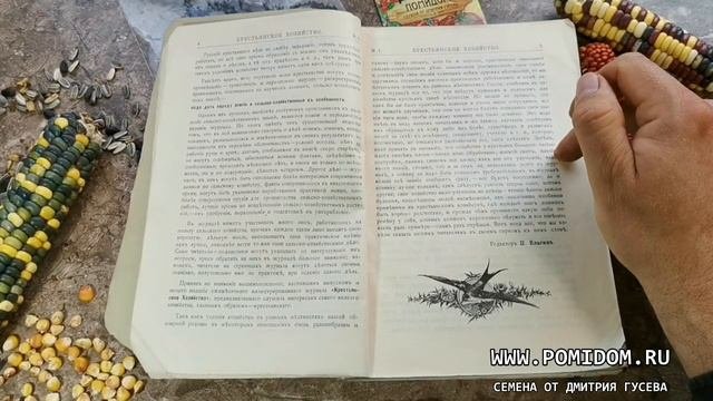 Крестьянское Хозяйство 1899год Журнал для малоземельных Крестьян Введение Статья Крестьянский Огоро