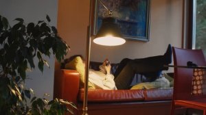 обычная жизнь | поездка в родной город, чувство безопасности и осенняя хандра