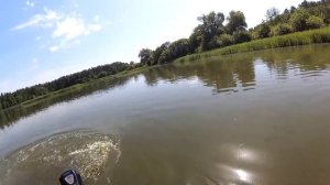 Электромотор Watersnake SXB54/26 по Траве