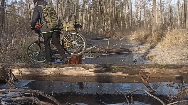 Ломашьер