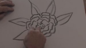 Drawing From Nature : How to Draw a Camellia Flower