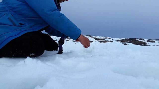 Отзыв - Электронная удочка Спутник смотреть онлайн
