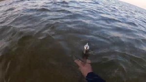 Как копать скубом в море