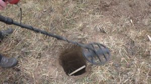 тест АКА Сигнум и Nokta Anfibio на монеты