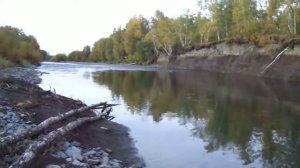 Чистим гольца