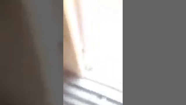 Баня-бочка смотреть онлайн