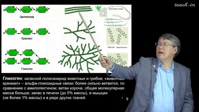 Наука и сон: Общая Биология. Углеводы. смотреть онлайн
