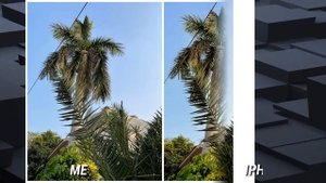 Realme GT2 Pro vs iPhone 13 Pro Max Camera Test