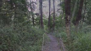 Музей-усадьба  А.А. Фета. Курская область.