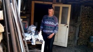 Готовим минеральный корм  голубям