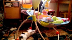 Баю баюшки баю!