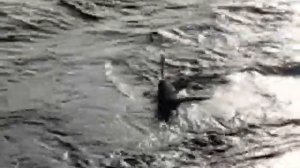 Рыбалка на ласось  онежское озеро fishing  salmon