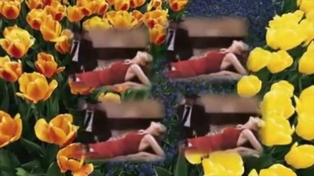 Цветет акация Самая красивая песня смотреть онлайн