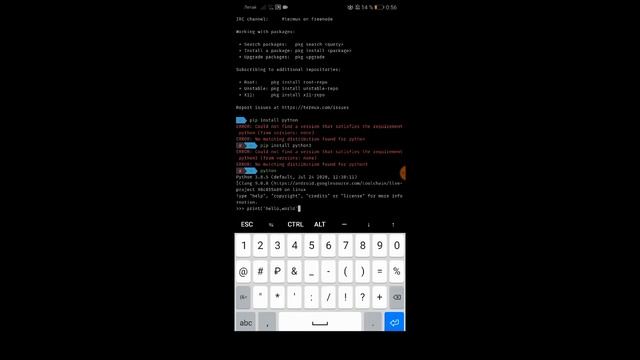 Как программировать с телефона?Python/2020