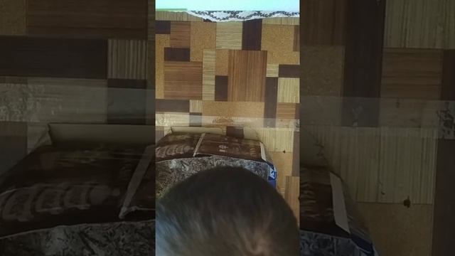 Шампиньоны в домашних условиях 2 часть смотреть онлайн