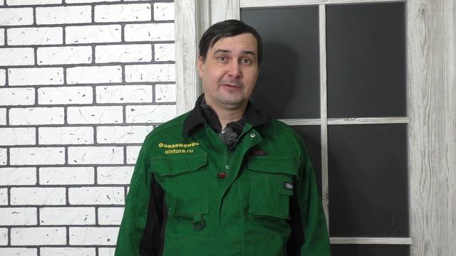 Фунгицид Провизор - обзор смотреть онлайн